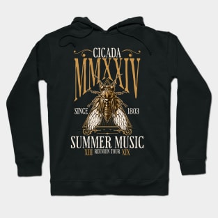 Cicada 2024 Reunion Tour - Brood XIX Brood XIII Hoodie